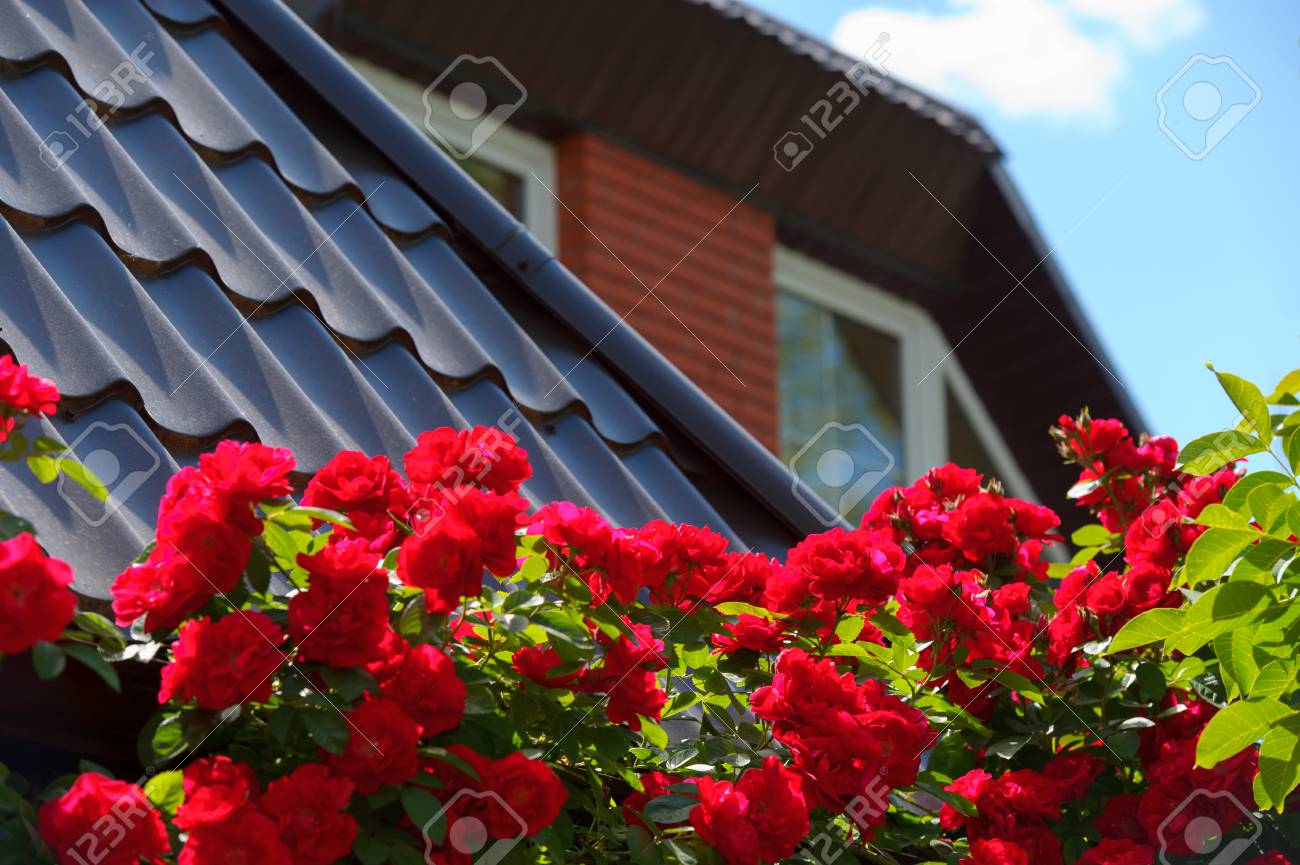 roof repair in spring